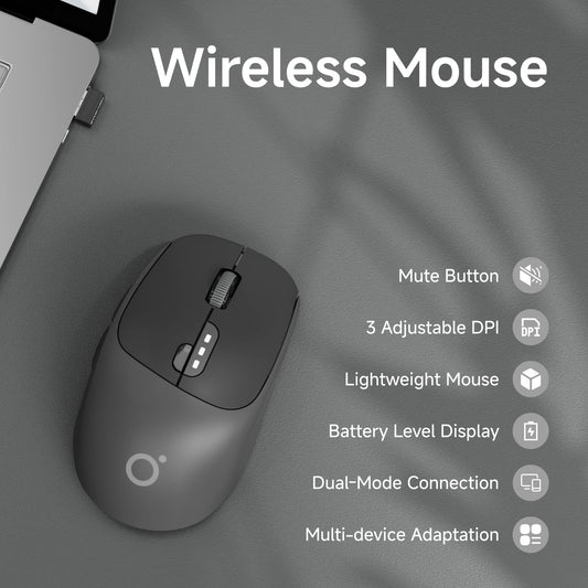SEUNKWANG Q5 Wireless Mouse - Bluetooth & 2.4G, 1600 DPI, Ergonomic, Black