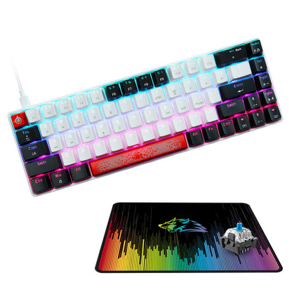 FELICON 60% Wired Mechanical Keyboard, RGB Backlight, Compact 68 Keys, Anti-Ghost, Type-C, White Black & Blue Switch