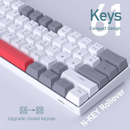 Camiysn 60% Mechanical Gaming Keyboard - Grey & White, Hot Swappable Red Switches, Mini Size, Wired Type-C, Powder Blue Backlight