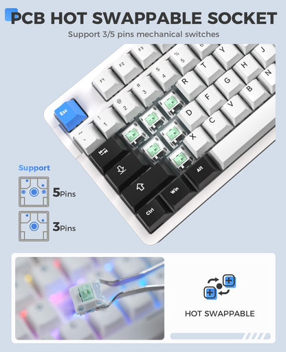 DAREU EK87 PRO Wireless Mechanical Keyboard, TKL, RGB, Hot-Swappable, Cloud Switch, White Blue