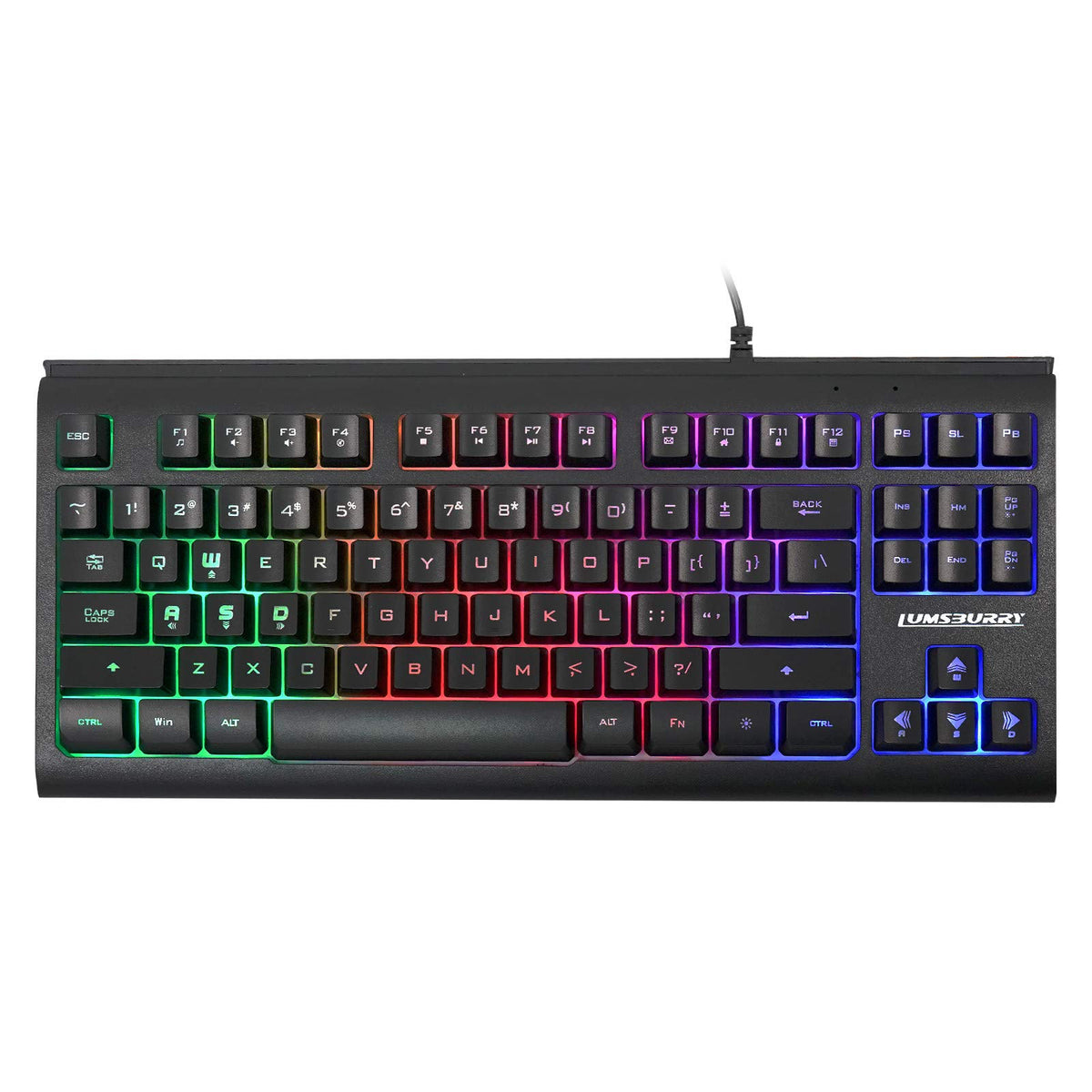 Lumsburry Rainbow LED Backlit 87 Keys Gaming Keyboard  Compact Keyboard with 12 Multimedia Shortcut Keys USB Wired Keyboard for PC Gamers Office