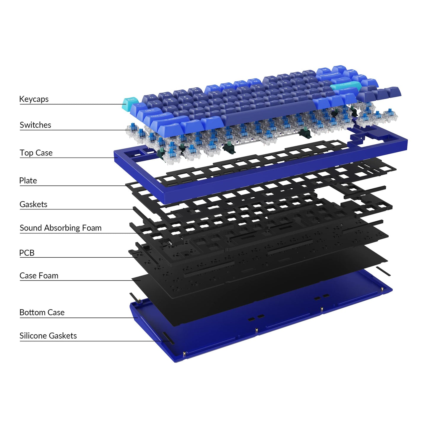 Keychron Q1 RGB Wired Mechanical Keyboard, 75% Layout, QMK/VIA Programmable, Gateron G Pro Brown Switch, Blue, Model Q1J3