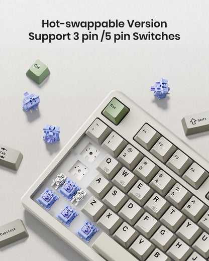 Kisnt Wireless Mechanical Keyboard - Gasket Mounted, Bluetooth, RGB Backlit, 75% Compact, Industrial Gray, Model KN85