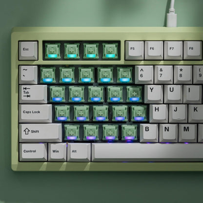 OOCTPK Chilkey Jade Green Keyboard Switches - 5 Pin PCB Mount, Pre-lubed Linear, POM Housing, 35pcs for Mechanical Gaming Keyboards