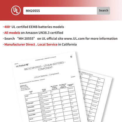 EEMB CR1616 10PACK Lithium Batteries with Solder Tabs for Gameboy Advance SP - 3V, Model CR1616-LBY2