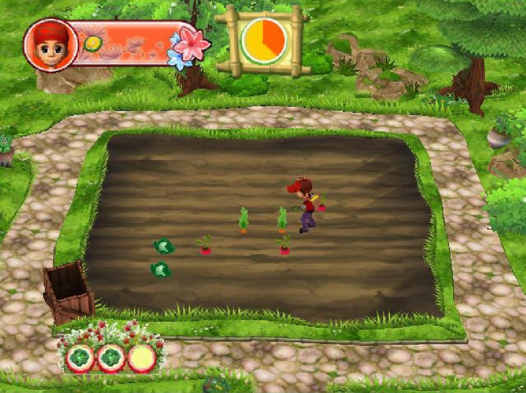 Deep Silver Let's Play Garden Game for Nintendo Wii - Model 00231