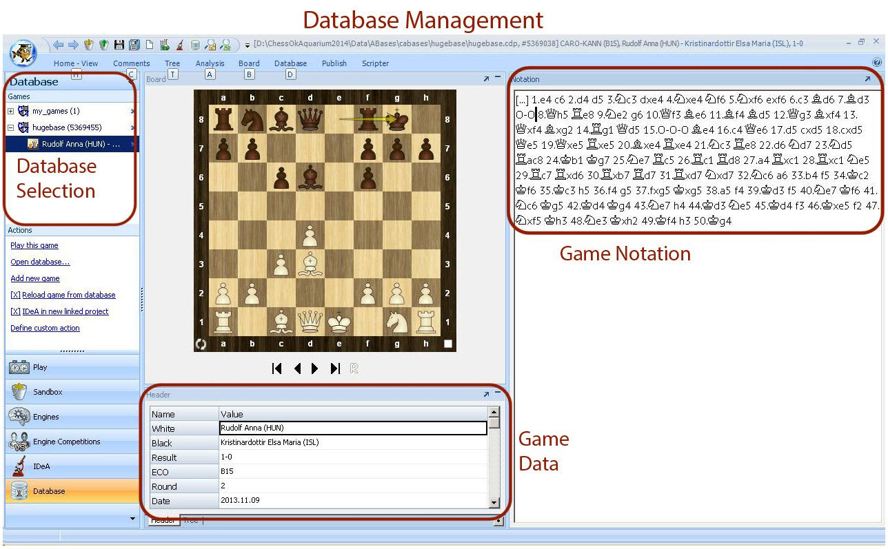 Houdini Aquarium 4 PRO Chess Software - Advanced Analysis Tool for Chess Enthusiasts