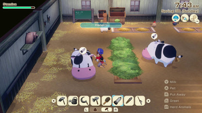 Xseed Games Story of Seasons Grand Bazaar Standard Edition for Nintendo Switch, Model 82526