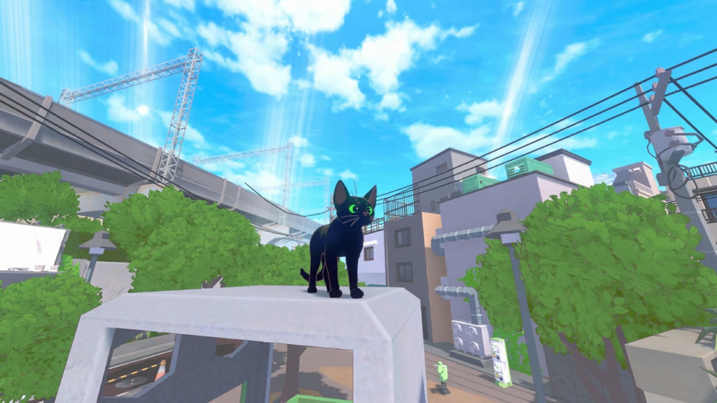 Fangamer Little Kitty, Big City Game for Nintendo Switch - Fun Adventure Gameplay