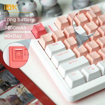 IROK FE75Pro Wireless Mechanical Keyboard, 81 Keys, RGB Backlit, White/Red, Hot Swappable, USB-C/Bluetooth, Three-Layer Dampening