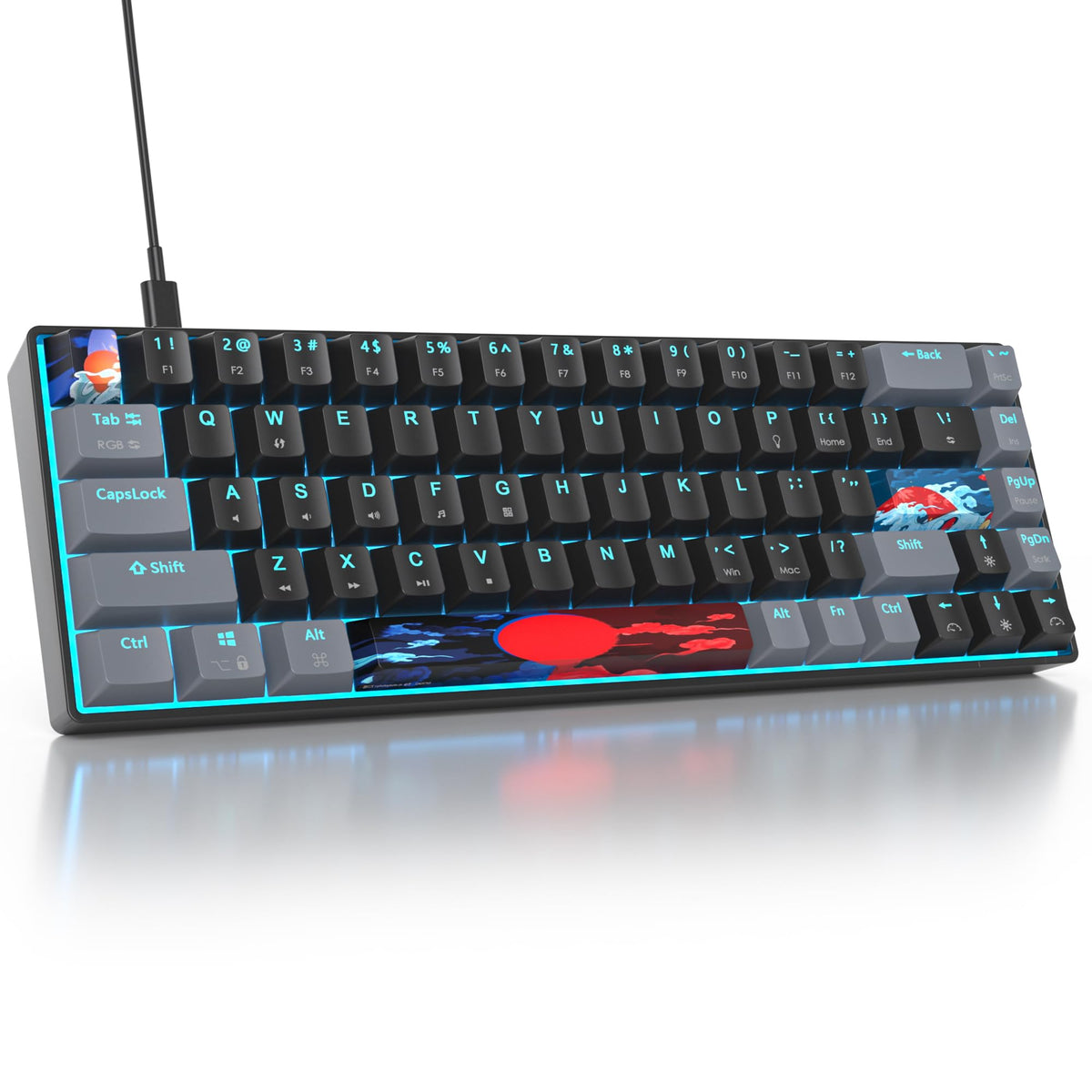 Owpkeenthy Portable 65% Percent Mechanical Gaming Keyboard  Mini Wired Ultra Compact RGB 68 Keys Office Keyboard with Red Switch Backlit for PC/PS5/XBOX(Dark/ 68 Red Switch)