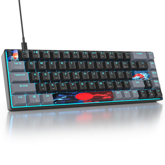 Owpkeenthy Portable 65% Percent Mechanical Gaming Keyboard  Mini Wired Ultra Compact RGB 68 Keys Office Keyboard with Red Switch Backlit for PC/PS5/XBOX(Dark/ 68 Red Switch)