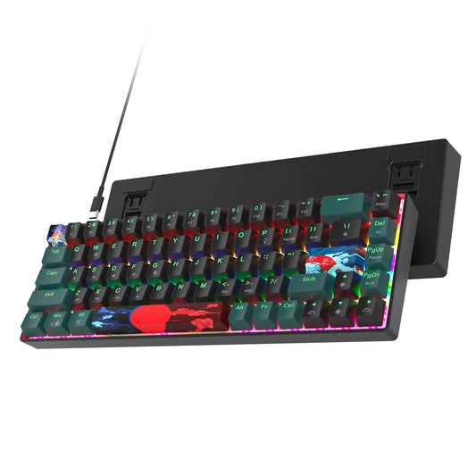 Ussixchare 60 Percent Gaming Keyboard 68 Keys Mechanical Keyboard Rainbow Backlit Compact Wired Keyboard with Red Switch for Windows PS4/5 Xbox(68 Green)