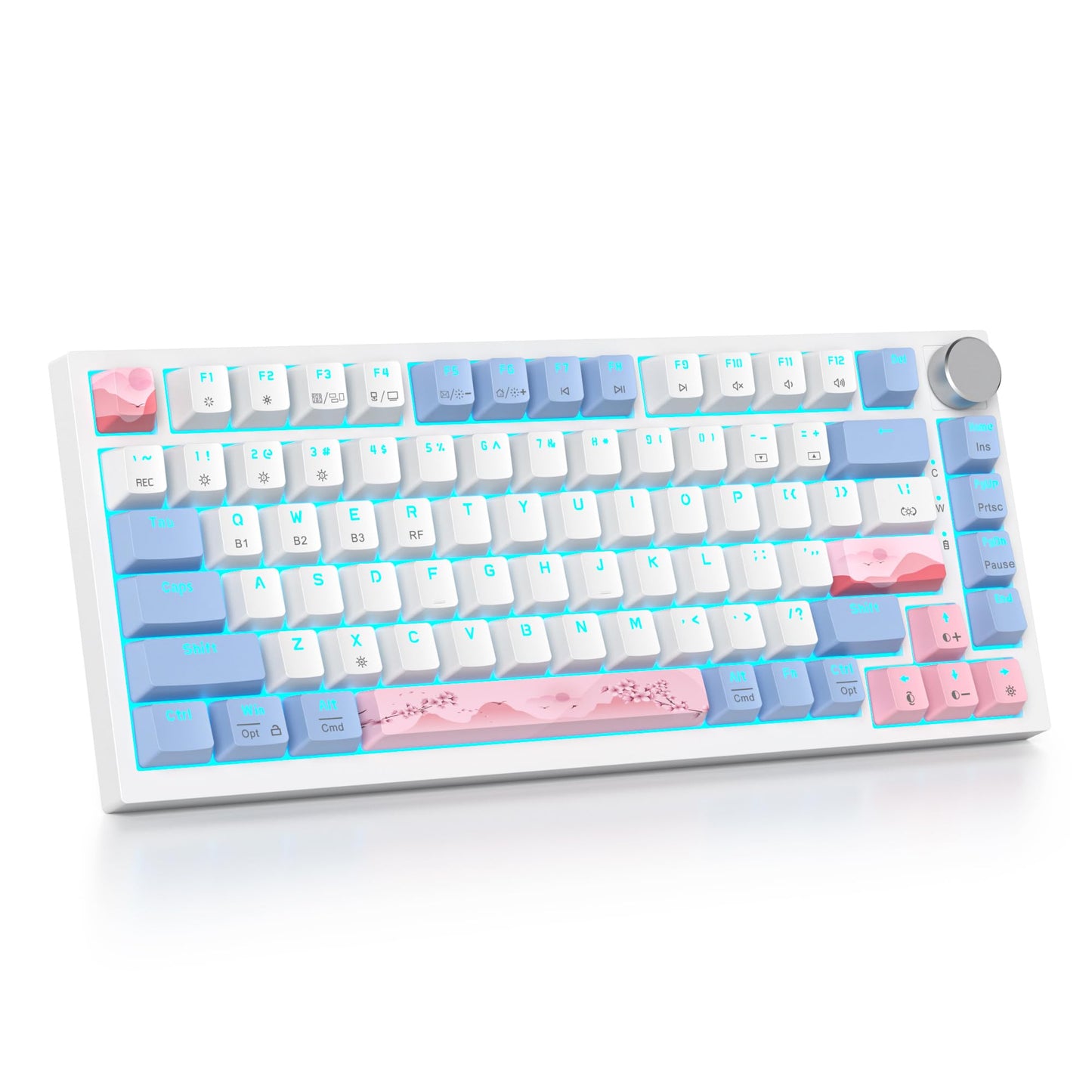 SbocKeeb 75% Wireless Creamy Pink Mechanical Keyboard  Hot Swappable Custom Keyboard  RGB Backlit Gasket Gaming Keyboard  2.4G/BT5.0/USB-C Mechanical Keyboard  Pre-lubed Linear Gray Cream Switches