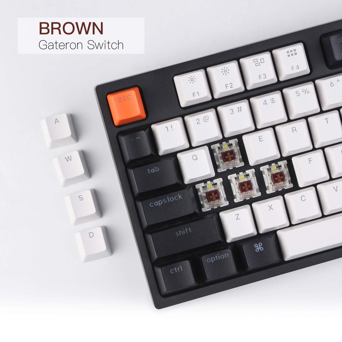 Keychron C2 Mechanical Gaming Keyboard - 104 Keys, USB Type-C, Gateron G Pro Brown Switch, RGB Backlight, Mac Layout