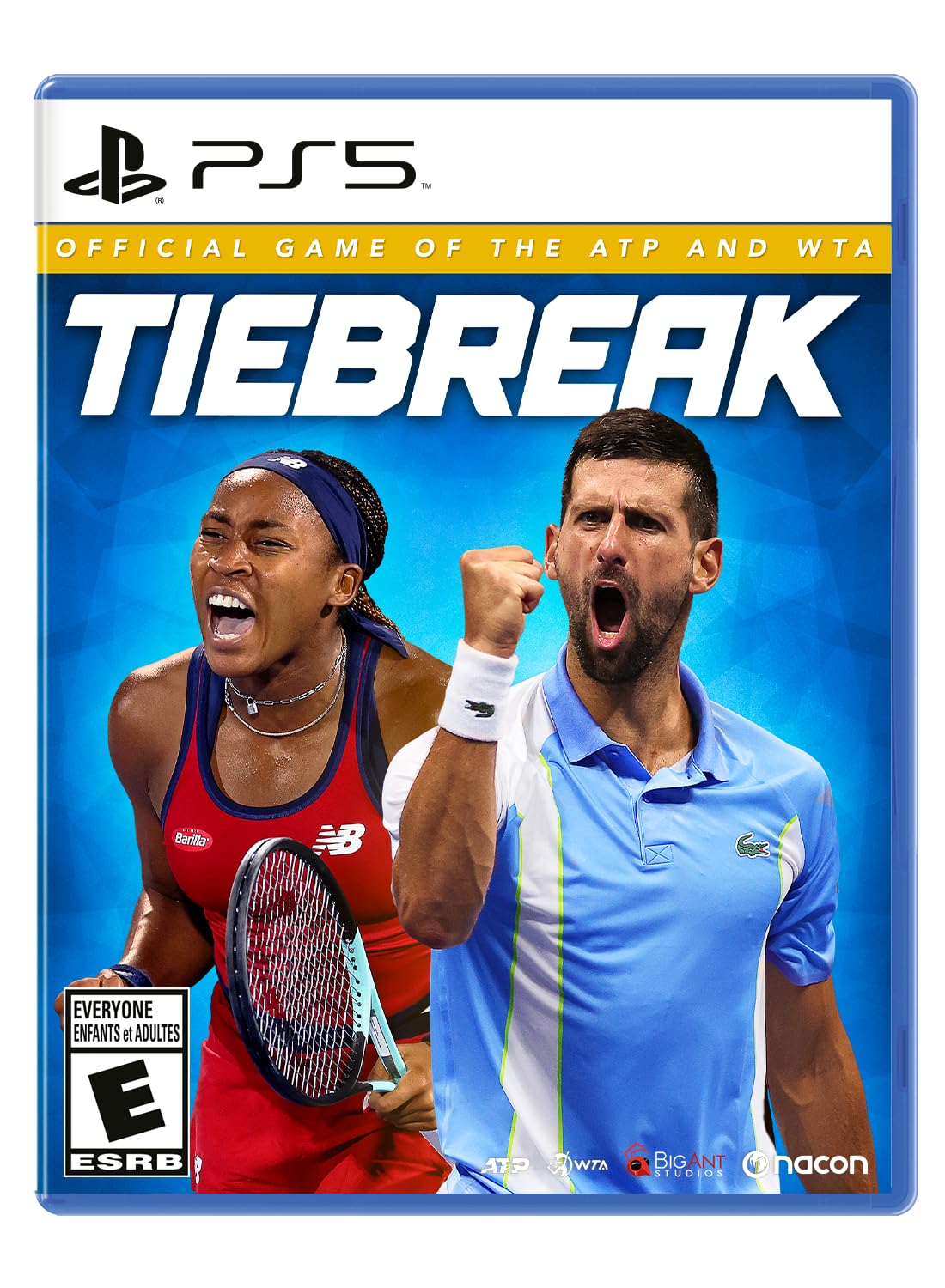 Tiebreak The Official Game of the ATP and WTA PS5
