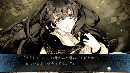 Aksys Psychedelica of the Ashen Hawk - PlayStation Vita Game Model Vita-35