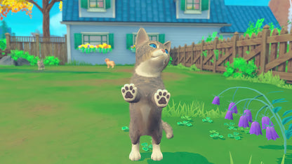 Maximum Entertainment My Universe: Pets Edition Nintendo Switch Game - Model 12476_US