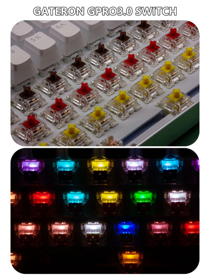 Tugeta Gateron 70Pcs Mechanical Keyboard Switches, Brown, Gpro3.0, Pre-lubed, Tactile 55gf, RGB SMD, 3-pin