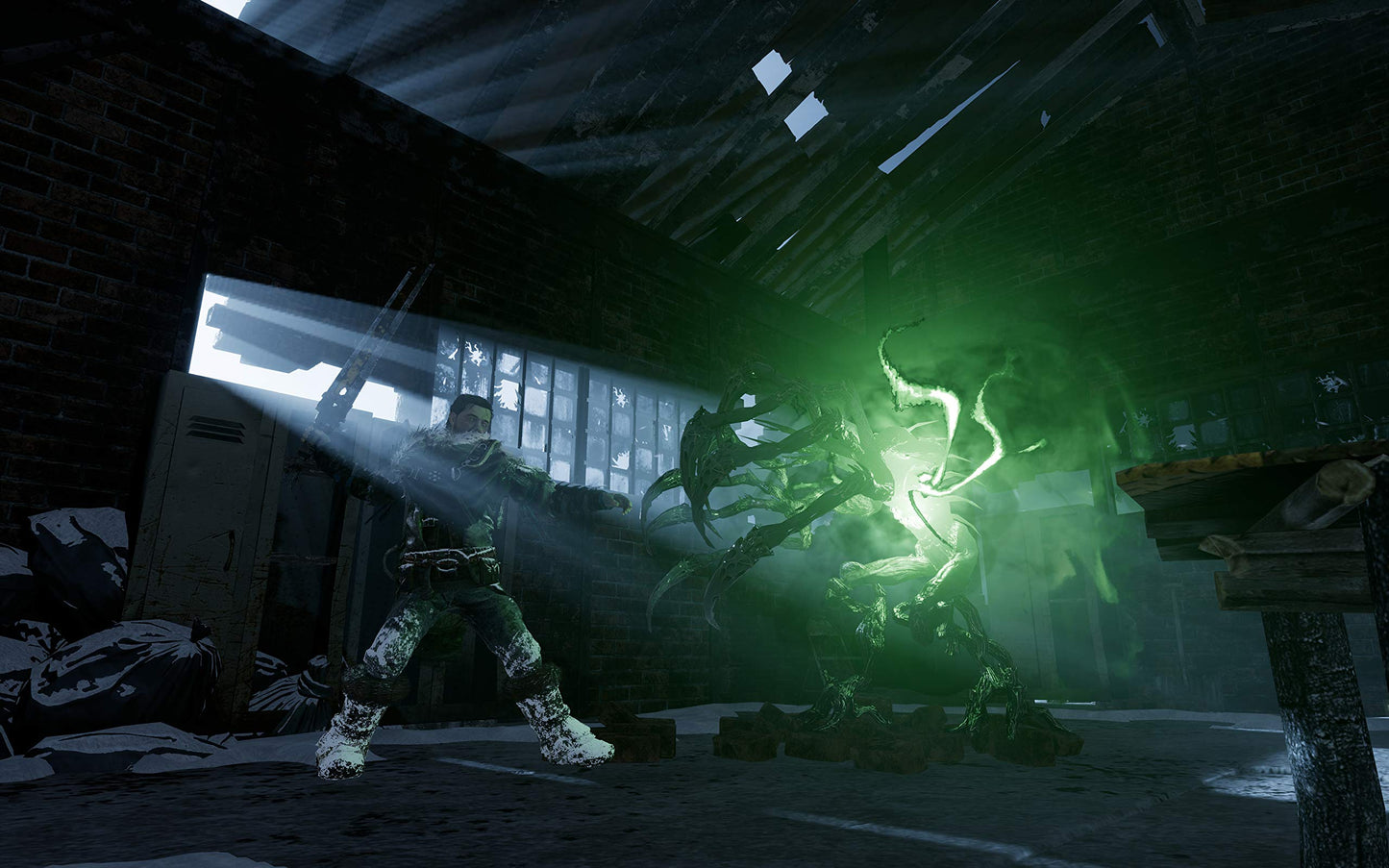 THQ Nordic Fade to Silence PS4 Game - PlayStation 4, Model 811994021410