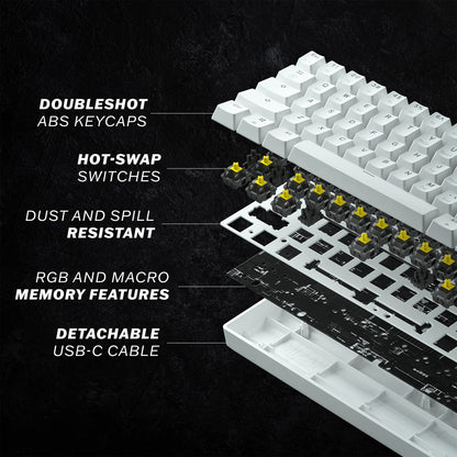 HK Gaming GK61 60% Mechanical Keyboard | RGB Rainbow Backlit | Gateron Optical Red Switches | White