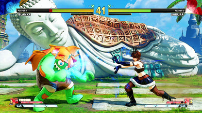Capcom Street Fighter V Champion Edition - PS4 Game, Model 56059