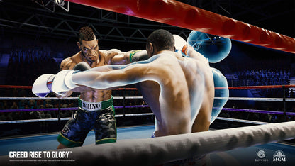 Perp Games Creed: Rise to Glory for PSVR (PS4) - Action-Packed VR Sports Game, Model PG000480