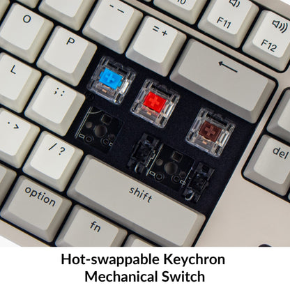 Keychron C2 Full Size Wired Mechanical Keyboard, Hot-swappable Red Switch, 104 Keys, ABS Retro Keycaps, USB-C for Mac & Windows