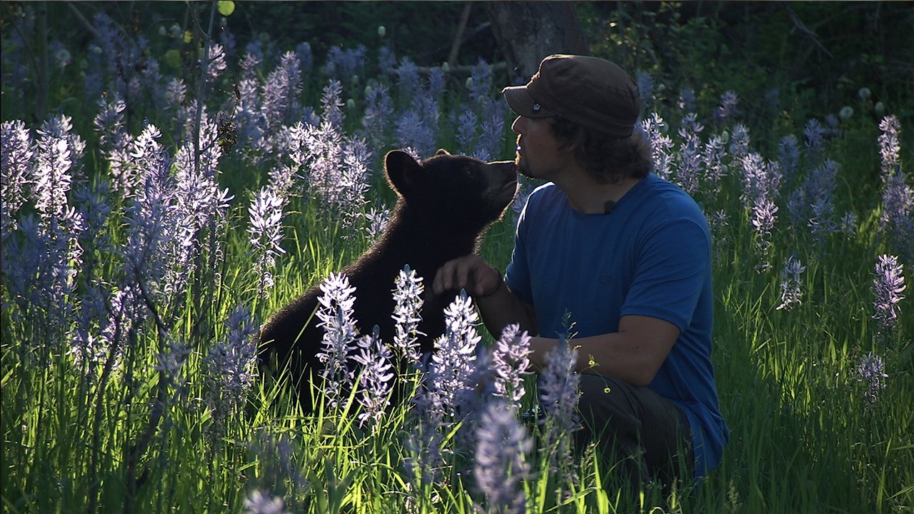 Microsoft Kinect Nat Geo TV for Xbox 360 - E3 2011 Model, Interactive Educational Gaming Experience