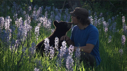 Microsoft Kinect Nat Geo TV for Xbox 360 - E3 2011 Model, Interactive Educational Gaming Experience