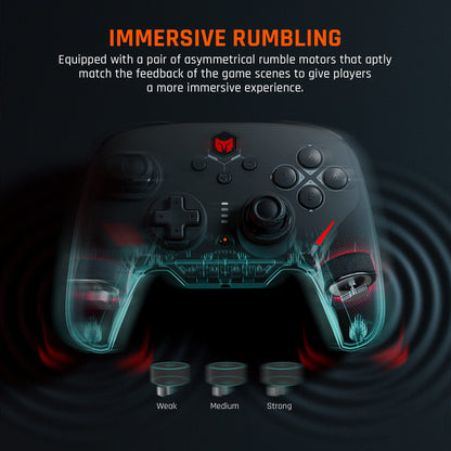 Black Shark Wired PC Gaming Controller - BIGBIG WON Blitz, 6-Axis Gyro, Custom Buttons, RGB Light, Compatible with Switch/PS4 - Black