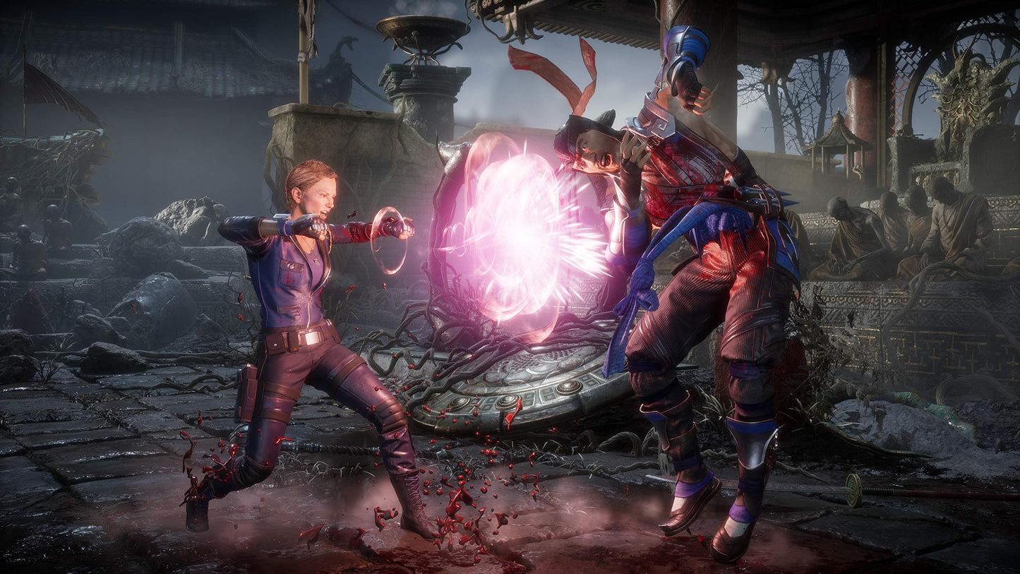 Warner Bros. Mortal Kombat 11 for PS4 - Action Fighting Game, Model 1000738900