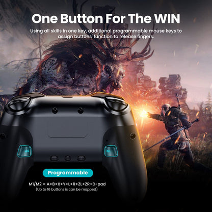 VOYEE Wireless Controller for Nintendo Switch - RGB - Motion Control