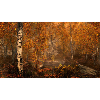 Bethesda The Elder Scrolls V: Skyrim Special Edition - PS4, Model 17125