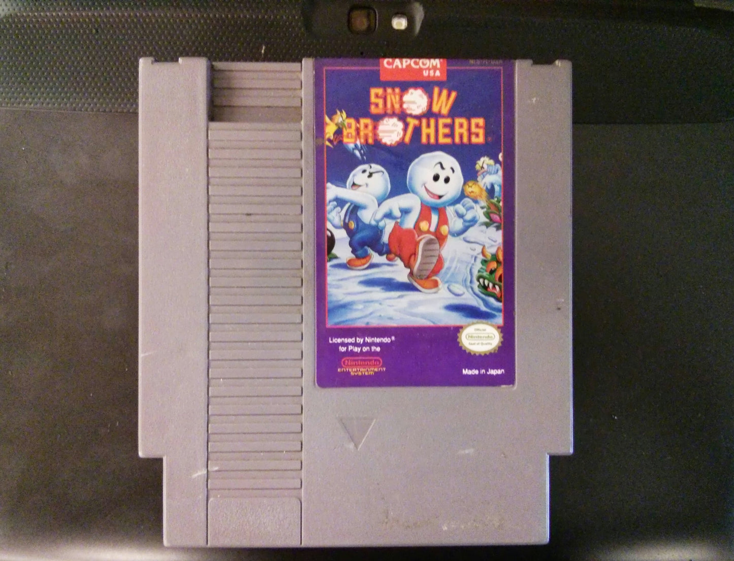 Snow Brothers (Renewed)