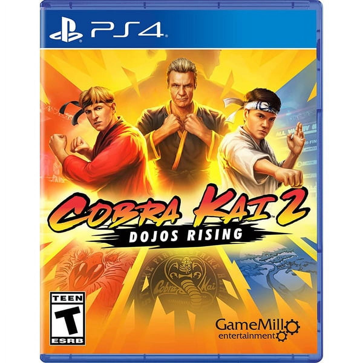 Cobra Kai 2 Dojos Rising