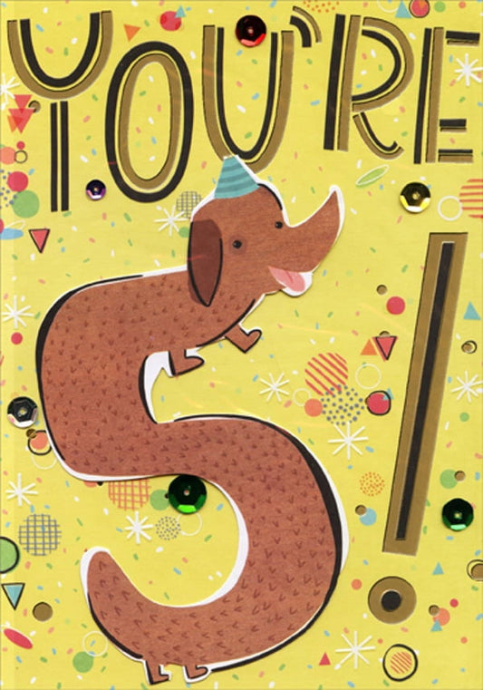 Designer Greetings Wiener Dog Spring Activated Pop Out Age 5 / 5Th Birthday Card For Boy With Stickers